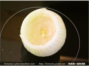 step2: 把洋蔥蒂頭與根部切除後，用小刀挖空洋蔥的內層備用。