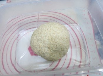 step3: 開始揉麵，至麵團開始有筋性，就是感覺不是石頭般死死的而是有彈性的時候就對了
把揉好的麵團滾圓，表面塗些水，再放入膠盒
先室溫發酵1小時，再入雪櫃低溫發酵一晚