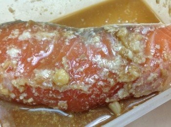 step1: 醃料：米酒、塩麴、蒜蓉、醬油 鲑魚入醃料1天