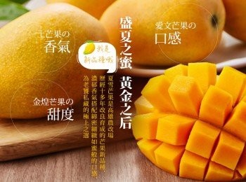 step11: 芒果兩側果肉先片下，用刀劃小格，再用湯勺取下果肉 另外兩邊一樣方式，取下芒果肉
