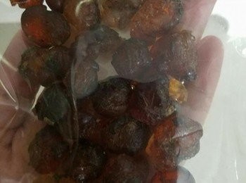 step1: 桃膠參考相片