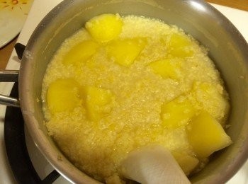 step3: 今天因為電鍋工作忙，小米跟蘋果塊用小火慢慢燉煮到熟。媽咪們也可以用電鍋蒸煮喔。