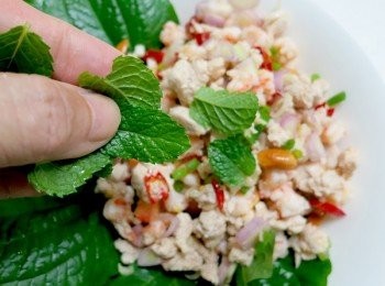 step17: 最後可以加點薄荷葉