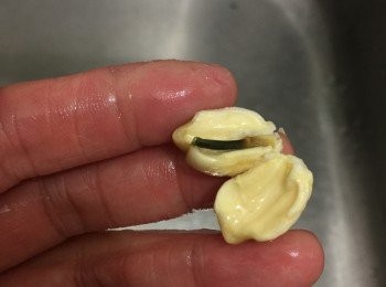 step2: 蓮子浸洗30分鐘後去芯