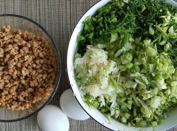 step1: 茴香連葉磨幼