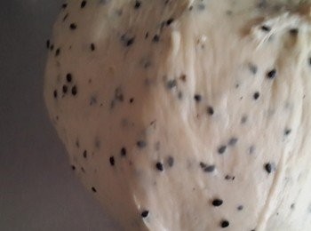 step3: 麵包體的部分用麵包機揉麵團輕鬆多了~若沒有麵包機用手揉一樣喔!將高粉,糖,鹽,酵母粉,奶油,養樂多,黑芝麻粒一起揉勻即可~發酵至兩倍大