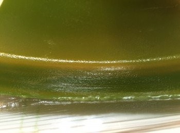 step4: 放涼後起模切粒，便可享用