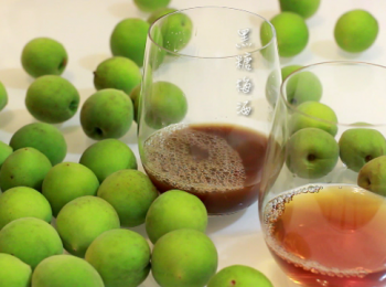 step21: 清明節前後浸泡的梅酒喝乾了嗎? 可以先把酒移至酒瓶。在盛產大白菜的秋冬季節, 用它來醃漬酸白菜。很建議大家去買兩個六罐裝的容器。當冬天結束, 春天來臨, 酸白菜吃光了的時候, 我們就可以用它來浸泡紫蘇梅酒及黑糖梅酒。梅子產季在4月中到5月中。匠弄廚房食譜已發佈。