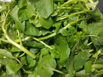 step1: 將西洋菜用鹽水浸泡 30 分鐘