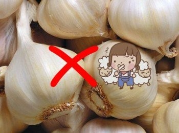 step6: 【溫聲提示】： ➀. 眼睛患有疾病者不宜多食。蒜頭能使胃酸分泌增多，辣素有刺激作用，有胃腸、二指腸潰瘍的人不宜吃蒜頭。陰虛火旺、胃潰瘍、慢性胃炎者要忌食。 ➁. 選購時直選蒜頭大，包衣緊，蒜瓣大且均勻，味道濃厚，辛香可口的為好。特白蒜頭謹慎購買。 ➂. 蒜頭的獨特辛辣氣味可以解除魚、肉的腥味，增進食欲，是膳食烹調中不可缺少的調味品。但醃制蒜頭不宜時間過長，以免破壞有效成分。 ➃. 食用生蒜不宜過多，且不可與蜂蜜同食。 ➄. 用剩的蒜頭存放時可用網狀袋子裝好，吊在通風處 轉載自網路資訊@@