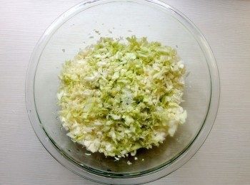 step3: 將高麗菜切碎後加入一小匙的鹽,稍加攪拌一下靜置15分鐘幫助軟化出水,再擠出蔬菜多餘的水份。