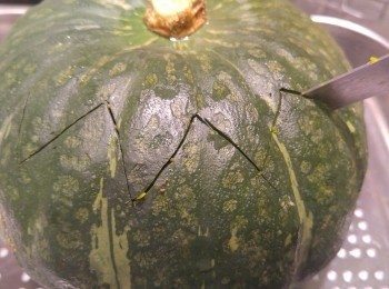 step6: 南瓜用刀切出頂部,最間單切法只需一刀切出形成南瓜蓋。