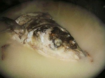 step3: 接著加入開水沒過魚頭，還有泡好的藥材及紅參