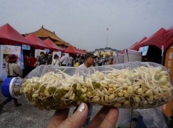 step9: 為了照顧天天換水的豆芽        在中正紀念堂了!