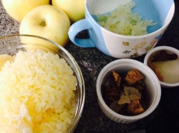 step1: 準備的小燉盅及所有材料，雪耳剪碎，蘋果去皮將半個磨成蓉榨汁而另一半挖芯將蘋果切小塊及將所有材料放入焞盅內