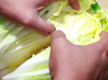 step2: 山東大白菜 共重6-7斤, 先在12公分處切上十字兩刀
為了盡最大程度去保留完整的葉子, 順著刀切口用手指慢慢分開大白菜。這做法在之後清洗時也會方便, 不會留下太多小葉片。而且, 大葉片也方便用作捲或包裹的枓理。