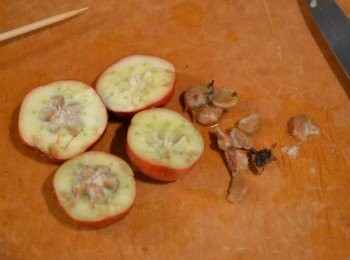 step2: 用刀切去山楂蒂，並切半去掉中間的核。（這樣吃起來比較方便，不用吐核。）