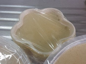 step6: 在盆中掃上少許油，將粉槳倒入盆中，包上保鮮紙。