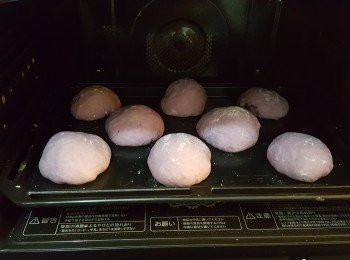 step8: 放入水波爐以40度進行第二次發酵至1倍大。(約 20分鐘)