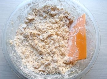 step9: 以刮刀依著攪拌盆邊以切,抹,拌的方式,混合至不見粉類即可。(這樣可做出酥脆的<span class="group_2">塔皮</span>,不可過度攪拌產生筋性)。