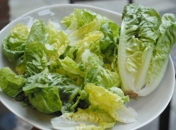 step1: 將羅馬生菜洗淨，然後切小塊（不要太小）