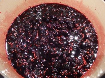 step7: 煮20分鐘後先熄火,將果汁取出一些(可裝瓶當濃縮果汁使用)。將果醬靜置到冷卻。