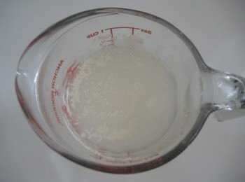 step1: 將快速酵母放入溫水（37度）中攪溶，放置10-15分鐘至起泡即可使用。