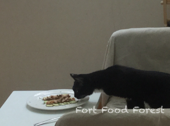 step5: 最重要嘅步驟, 嚴拿小貓!