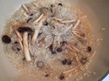 step2: 準備燉飯的鍋子裡加入麻油，小火煸香薑片，轉中火加入洋蔥和柳松菇炒香，加入義大利米拌炒，分次加入高湯，並加入一點鹽和胡椒，轉小火蓋上鍋蓋悶約10-15分鐘（不時開鍋蓋翻炒以免黏鍋），確認米差不多熟透後關火再悶個10分鐘即完成燉飯。