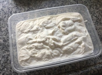 step5: 倒入食物盒，放入冰格冷藏8小時就食得