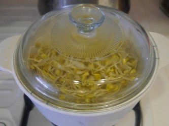 step1: 將黃豆芽洗淨後，鍋子放入冷水至豆芽的ㄧ半即可，蓋上鍋子煮開後悶1-2分鐘。  將黃豆芽洗淨後，鍋子放入冷水至豆芽的ㄧ半即可，蓋上鍋子煮開後悶1-2分鐘。