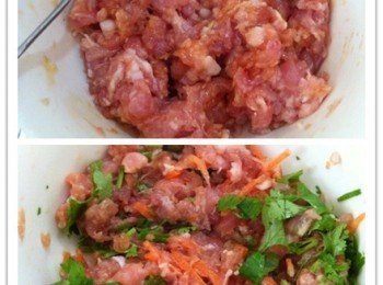 step2: 肉碎加入所有調味料~餛飩皮，紅蘿蔔絲和香菜除外。攪拌均勻后才加入紅蘿蔔絲和香菜攪拌均勻。