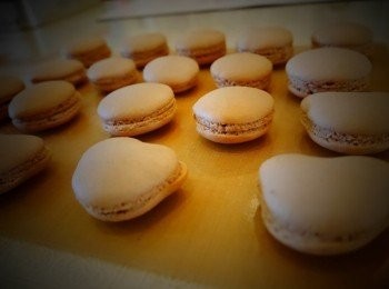 step14: 取出放涼後再拿起來~ 然後二二配對排排站~