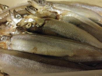 step1: <a href="https://cook1cook.com/shop/item/741?utm_source=cook1cook&utm_medium=recipeingredients&utm_campaign=o" target="_blank" data-keyword="多春魚" class="guide-link"><strong>多春魚</strong></a> <span style="display:inline-block;vertical-align:middle;margin-top:-3px;color:initial;border-radius:3px;padding:2px 3px;font-size:12px;line-height:14px;background:#87d300;color:#fff;">即買</span> 去鰓洗淨索乾水份加入所有醃料撈勻備用。