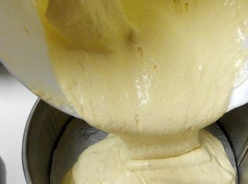 step5: 4、加入E攪拌均勻，隨即倒入已塗油，盤底鋪紙的23厘米寬的圓形烤盤內。