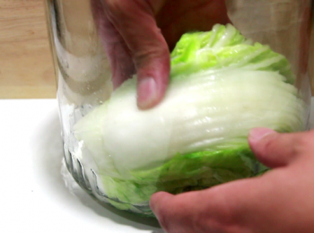 step7: 把放涼後的大白菜對折, 再逐一放入容器中。略為排好即可, 不需刻意擠壓。