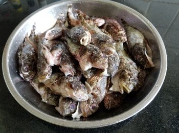 step5: 石狗公，清洗後隔乾水份