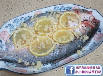 step2: 然後將半個檸檬切片和蒜茸鋪上魚身，想惹味少少就可以加上指天椒，不過因為小小豬一齊食，所以我今次冇加~