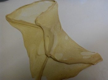 step4: 左右對折。