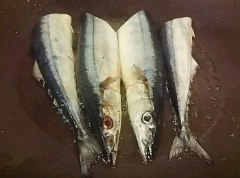 step3: 取一平底鍋少油熱油鍋放入秋刀魚加入少許的米酒去腥