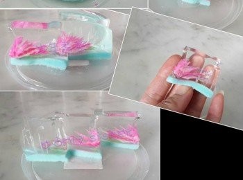 step2: 9G 魚膠粉 同 10G 糖攪勻..加 65 ML 椰浆.. 煮溶或坐溶 gelatine ..就可以了..花花做法→https://www.youtube.com/watch?v=tbT1kbi6vPQ