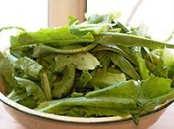 step1: 把油麥菜清洗乾淨備用