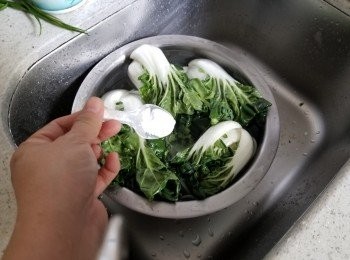step1: 先用1茶匙梳打粉浸大白菜約5分鐘去除農藥