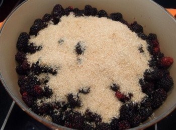 step4: 靜置2-3小時後,再將剩下的糖放入。