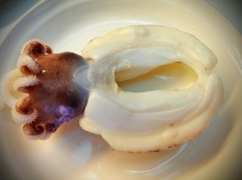 step3: 燙好的花枝,好可愛唷~準備把它當成容器使用嘍!