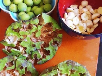 step2: 蓮蓬裝滿了蓮子, 首先用刀仔起了蓮子, 剥了綠色面皮, 便成平時見的白蓮子,記住一定要去中間那條芯因有毒同苦!  我放了一半煲湯, 留了一半再煲桑寄生茶!




　