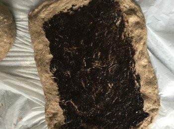 step3: 麵團用木棍壓開，塗上黑芝麻醬後捲起，放到模具內。
把模具放進焗爐內，同時放置一碗熱水，進行30分鐘的最後發酵，直至兩倍大。