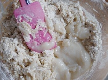 step4: 再加入步驟二的 <span class="group_1">湯種</span>拌勻，逐少加入水拌勻成麵團（可能不需用全部的水，成麵團便可）