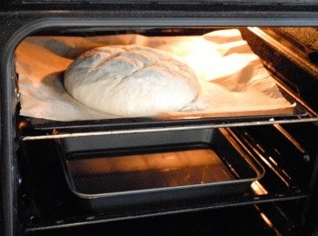 step7: 在焗爐底部放ㄧ盤水 （這可令麵包表面更香脆），將麵糰放入已預熱225度焗爐，焗約30 －35分鐘至外表金黃色即成～