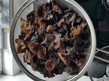 step2: 燒一鍋熱水，水滾後放入黑木耳煮1～2分鐘，撈起後泡冰水，瀝乾水後備用。(如果沒有冰，可用熟凍水泡降温，瀝乾水後入雪櫃20-30分鐘)